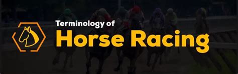 Horse Racing Terms for Dummies .